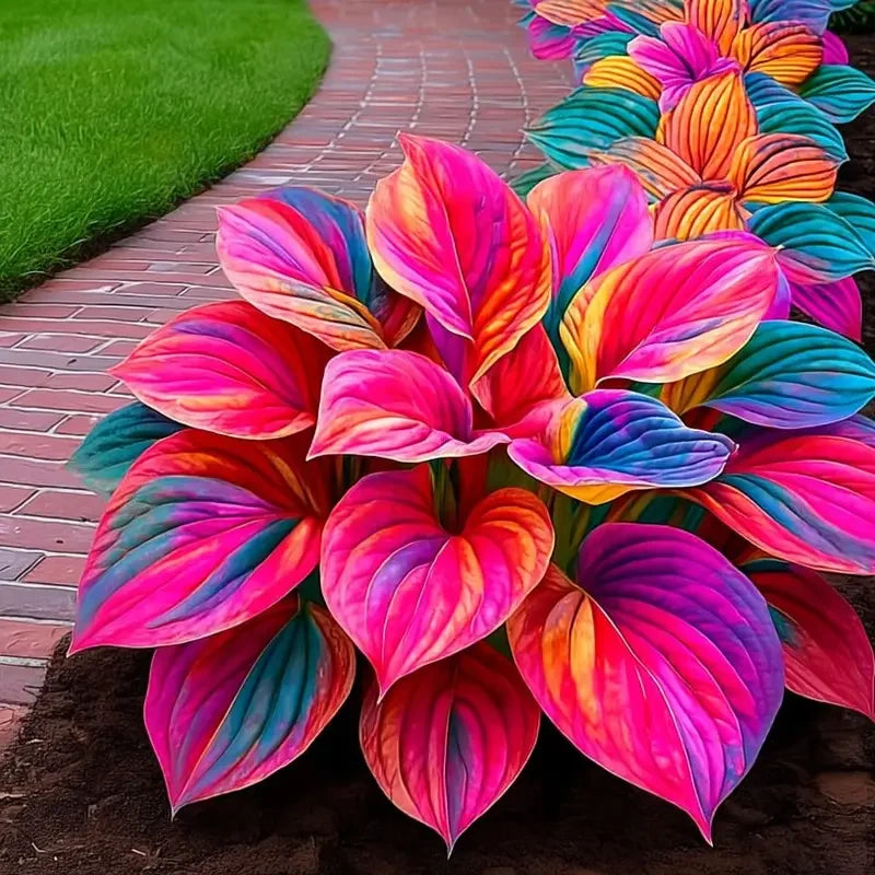 /69c72bad2959ca0009aa57df/2026/04/14/product-img-69ddee0cf707c0639afa4a35.png